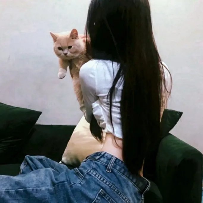 特别押送